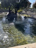 Serenity at the Pond