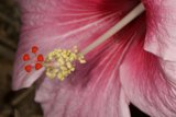 Beauty in Detail
