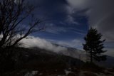 Lone Fir against Majestic Mountains