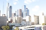 Overlooking the Urban Jungle