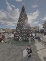 Child with Cotton Candy at Christmas Tree Display