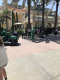 Green Suit Stroll