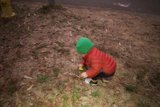 Childhood Fun at Presidio