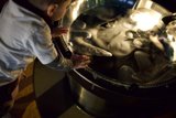 Discovery at the Exploratorium