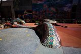 Serpentine Adventure at the Artful Playground