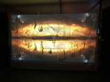 Sunset Screen