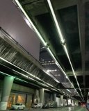 Urban Jungle