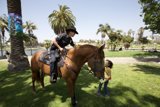 Mounted Officer Leading May Day Rally