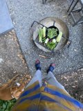 Grilling Fresh Produce on the Patio