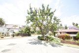 A Serene Boulevard in the Heart of the Neighborhood