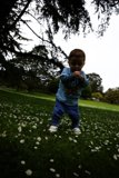 Daisy Wonderland: A Baby's Adventure