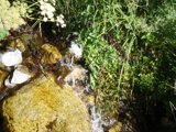 Serene Stream