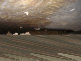 Leaky Roof