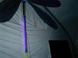 Illuminated Dragonfly in the Night