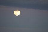 Enchanting November Night
