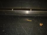Yellow Stain on Textured Floor