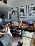 Cozy Afternoon with My Furry Friend