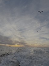 Seagulls Over Turbulent Ocean at Sunset