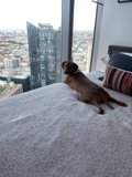 City Comforts