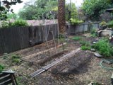 Serenity in the Backyard