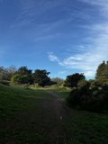 Rolling Hills and Endless Skies