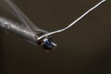 Pulling the Wire
