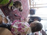 Playtime with Kitty