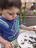 Garden Explorer in Action