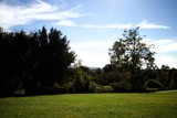 Peaceful Meadow