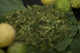 Fresh Produce on a Leaf