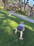 Backyard Soccer Dreams