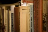 A Quiet Moment in the Library