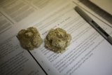 Document Preservation Efforts