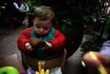 Baby's First Banana at Charter Oak Potluck
