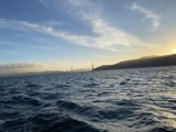 Golden Gate Bridge Reflection
