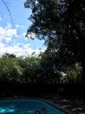 Summer Oasis by the Pool