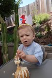 First Birthday Adventure