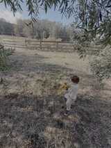 Child Playing with Toy in Rural Field