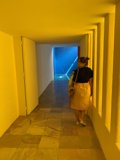 Walking through Sunshine