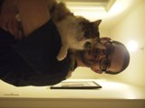 Dave and the Abyssinian Cat