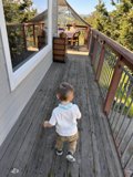 A Stroll on the Wooden Deck