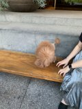 Bench Buddies