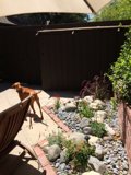 Umbrella Pooch