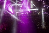 Purple Reign at Coachella