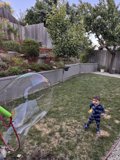 **Bubbles and Wonder**