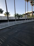 Serene Yard with Picket Fence and Palm Trees