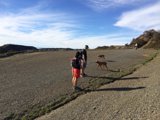 Man and Two Dogs Hiking on a Dirt Road in Westridge-Canyonback Wilderness Park