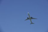 Soaring Giant in the Blue Expanse
