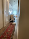 Feline Relaxation in a Cozy Hallway