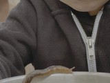 Close-up of Person Eating Creamy Dessert